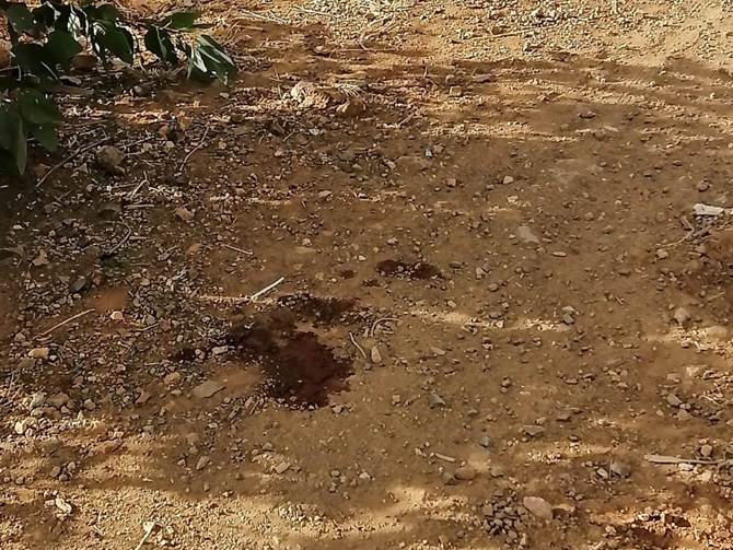 homicidio tierra libertad 4