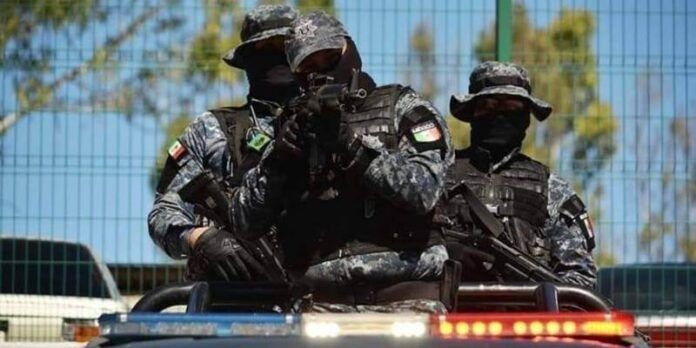 policia-83d