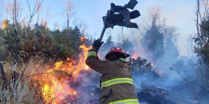 incendios_4-d7e