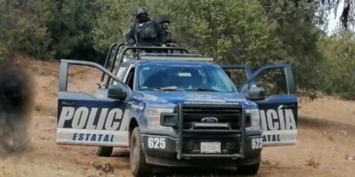 policia-208