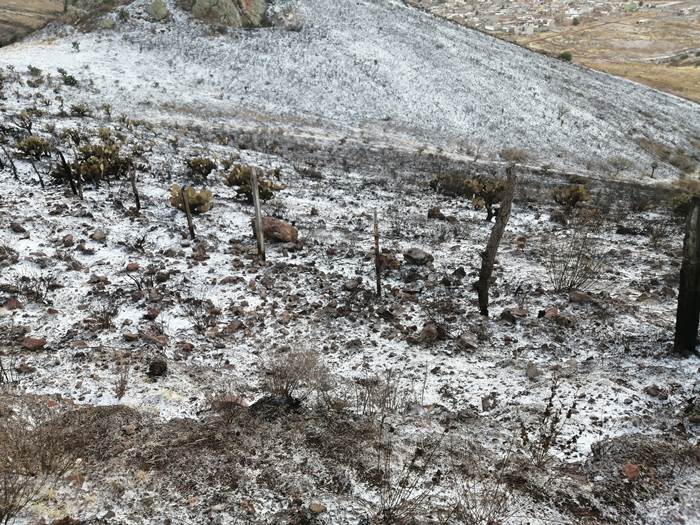 nevada5