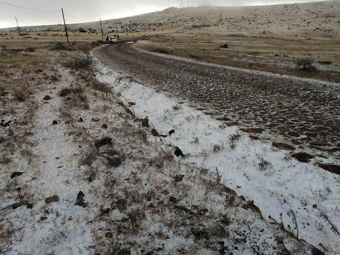 nevada6