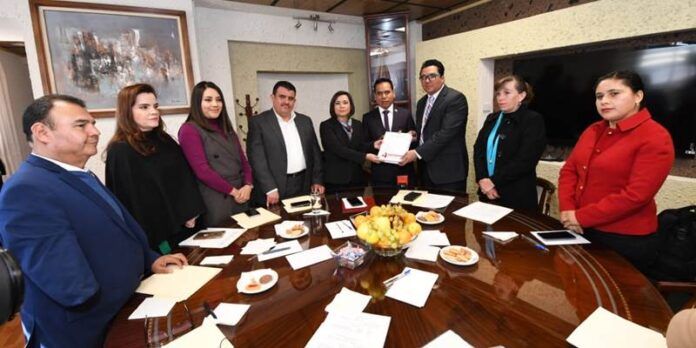 luz-dominguez-diputados-567