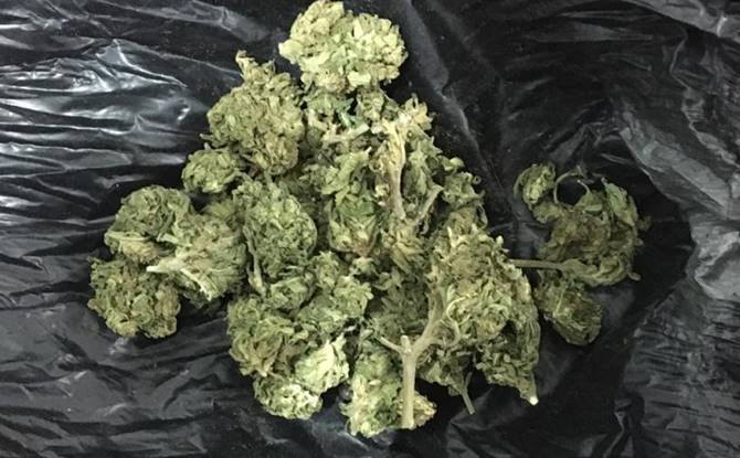 drogas 4