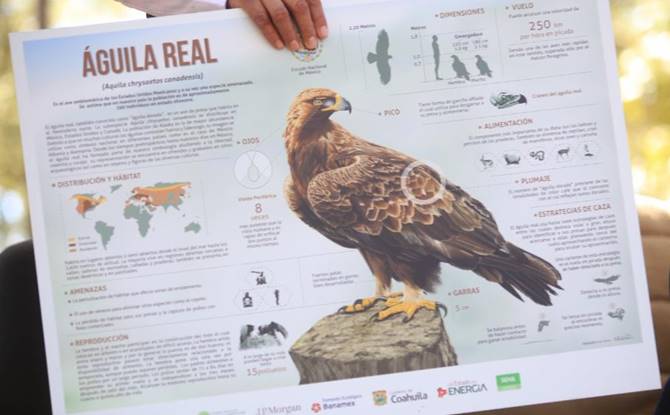 tello 1