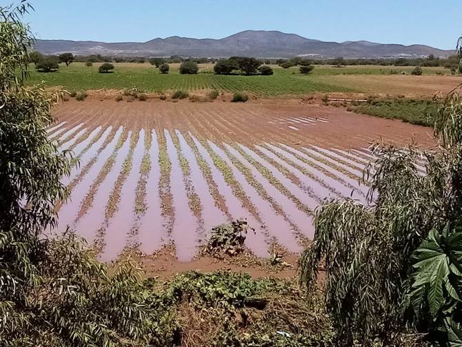 maquinaria secampo 1