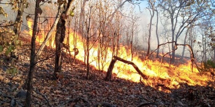 incendio-6e3