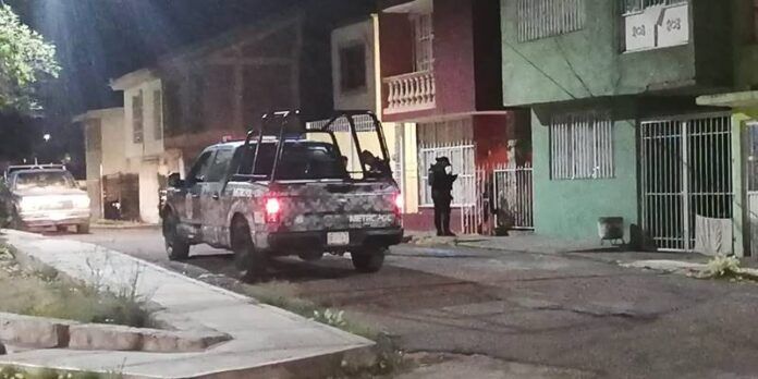 gavilanes-613