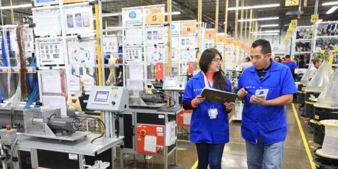 reclutamiento-1-600