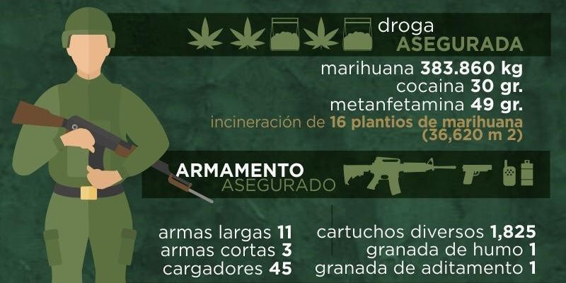 También incineraron 16 plantíos de marihuana. (Cortesía)