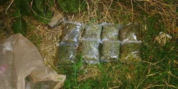 arma-marihuana-82e