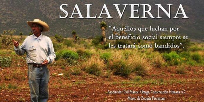 salaverna-1-a90