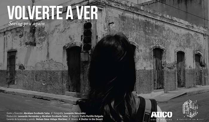 volverte ver