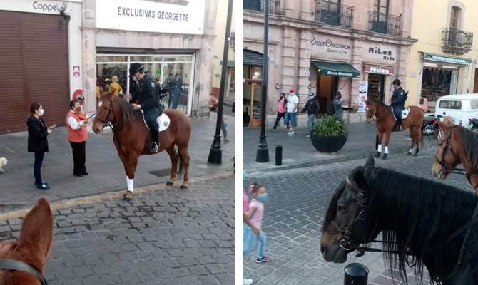 policia montada 3