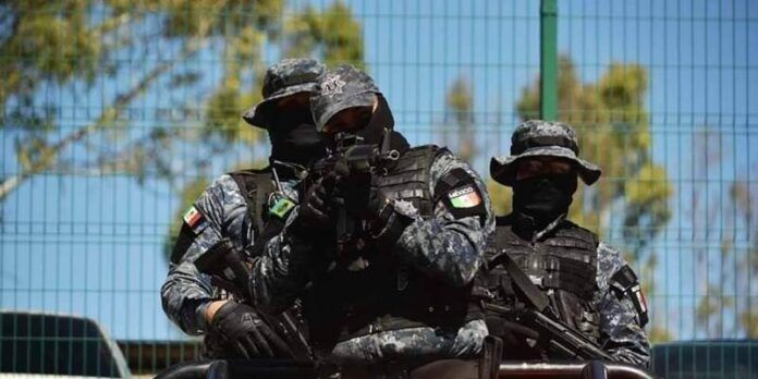 policias-82b