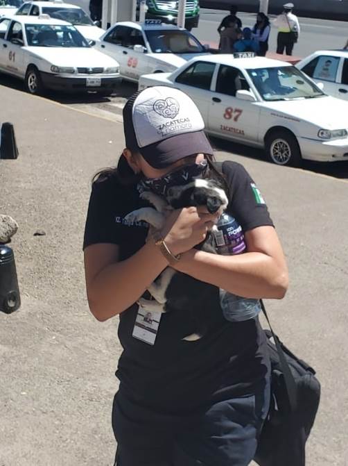 rescate policia ambiental zacatecas3
