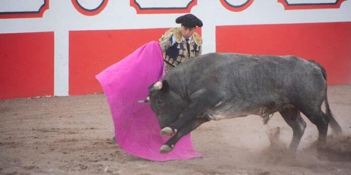 toros-020