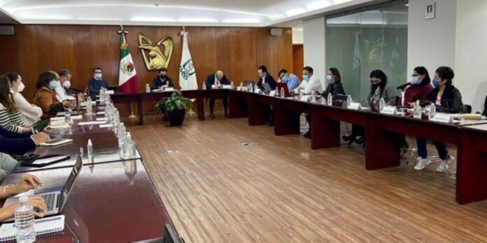 imss-981