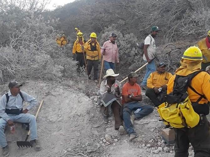 incendio sierra fria 1