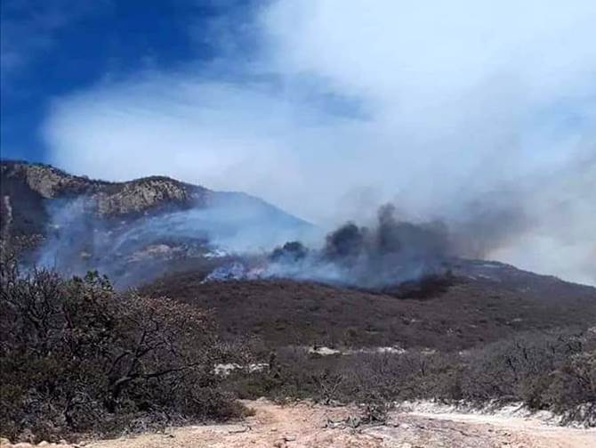 incendio sierra fria 2