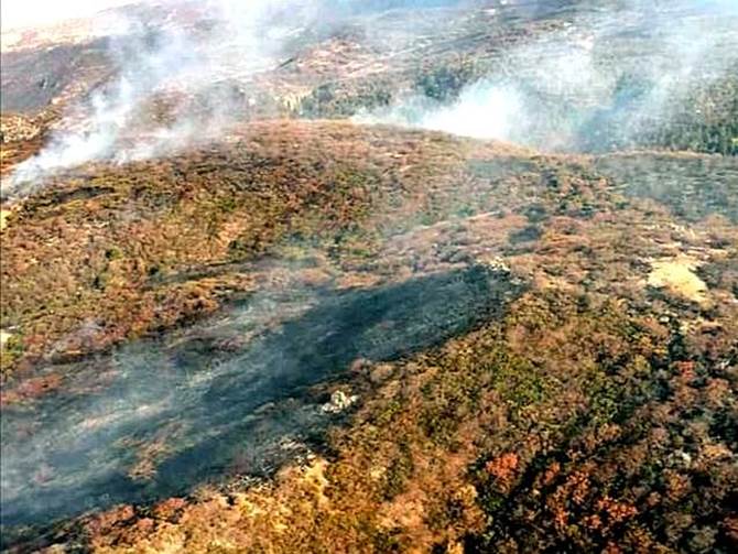 incendio sierra fria 4