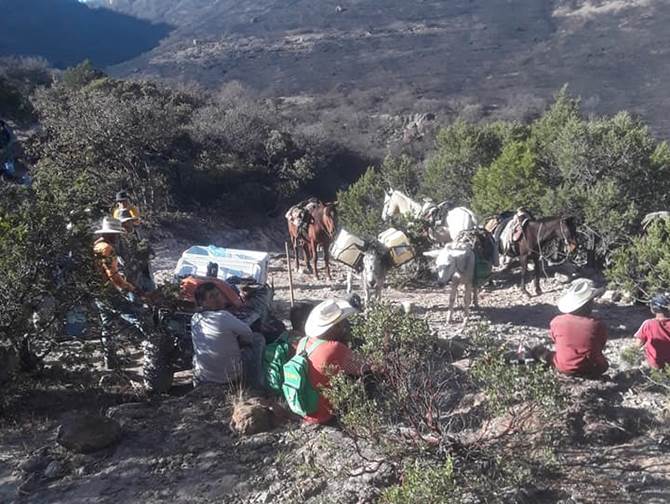 incendio sierra fria 6