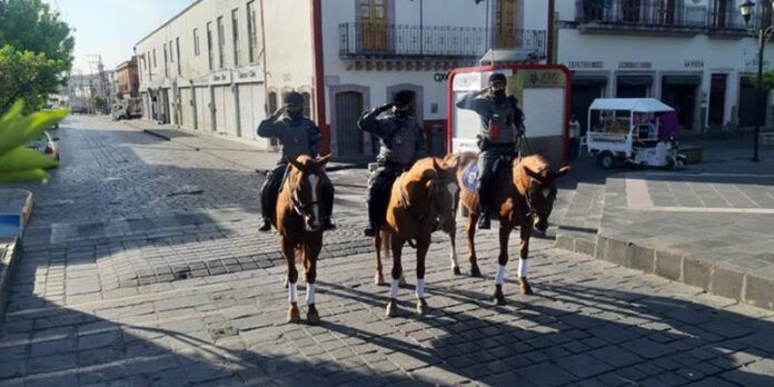 jerez_1-d8f