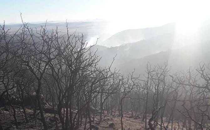 incendio 1
