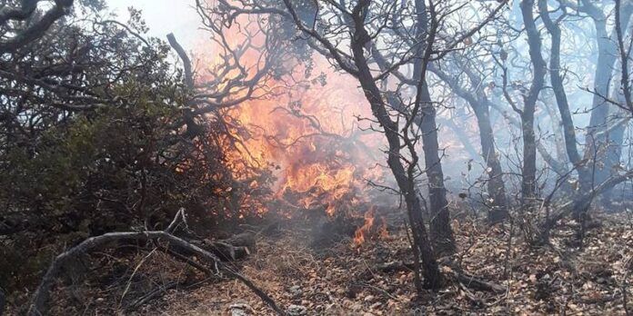 incendio_3-1e5