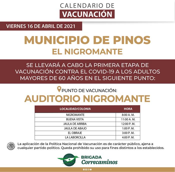pinos 2