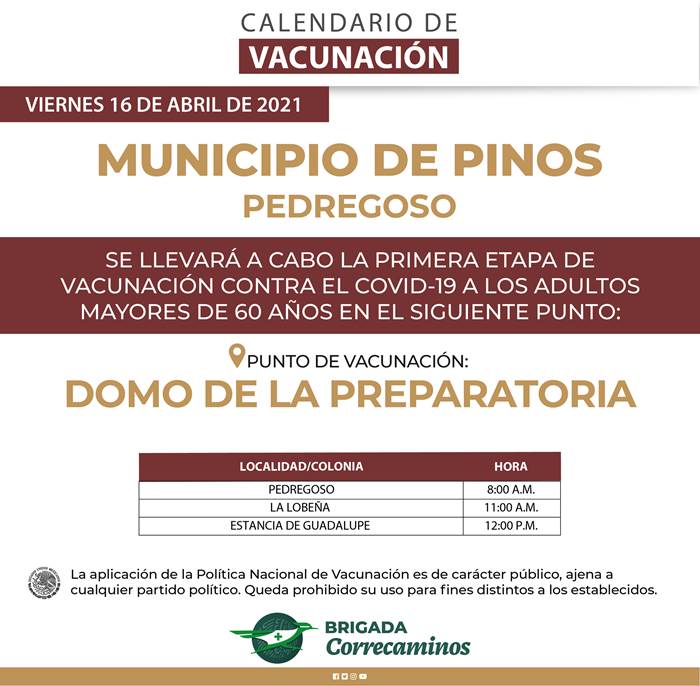 pinos 4