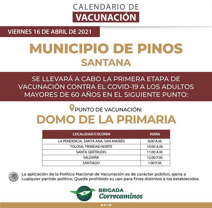 pinos 5