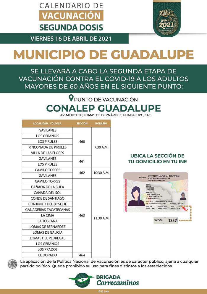 vacuna guadalupe 8