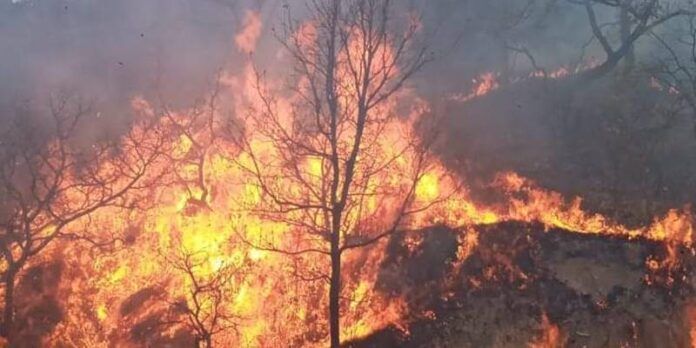 incendio_1-0be