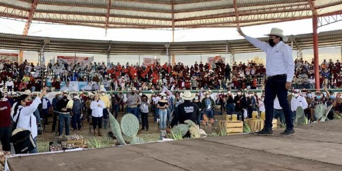 decalogo-campo-537