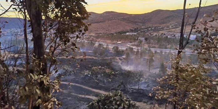 incendio_1-7d0
