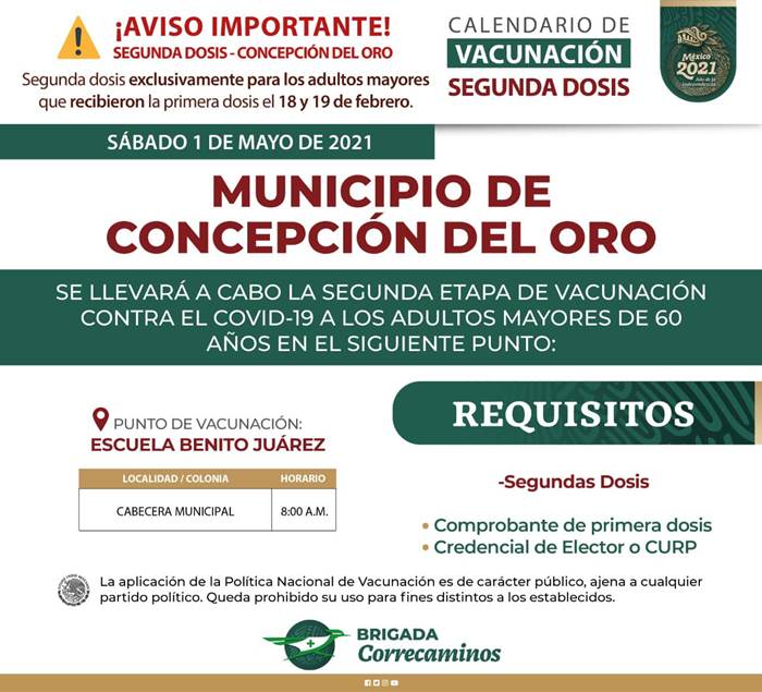 concepcion oro