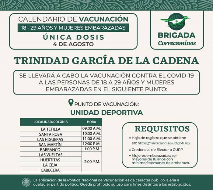 vacuna 12