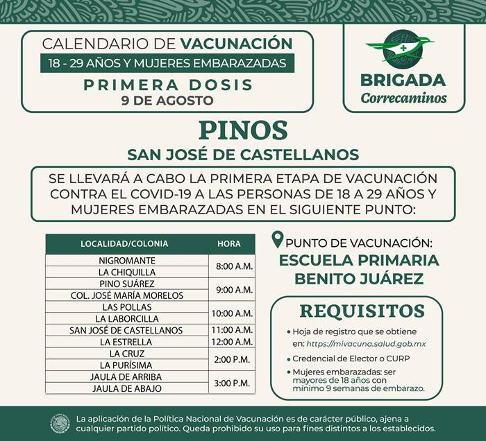 pinos 1
