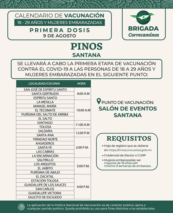pinos 2