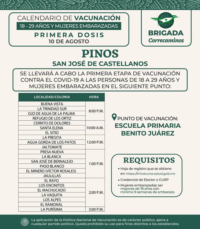 pinos 1