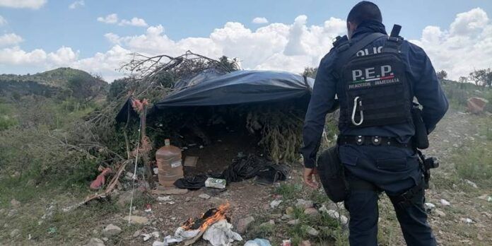 narcocampamento_5-ec1