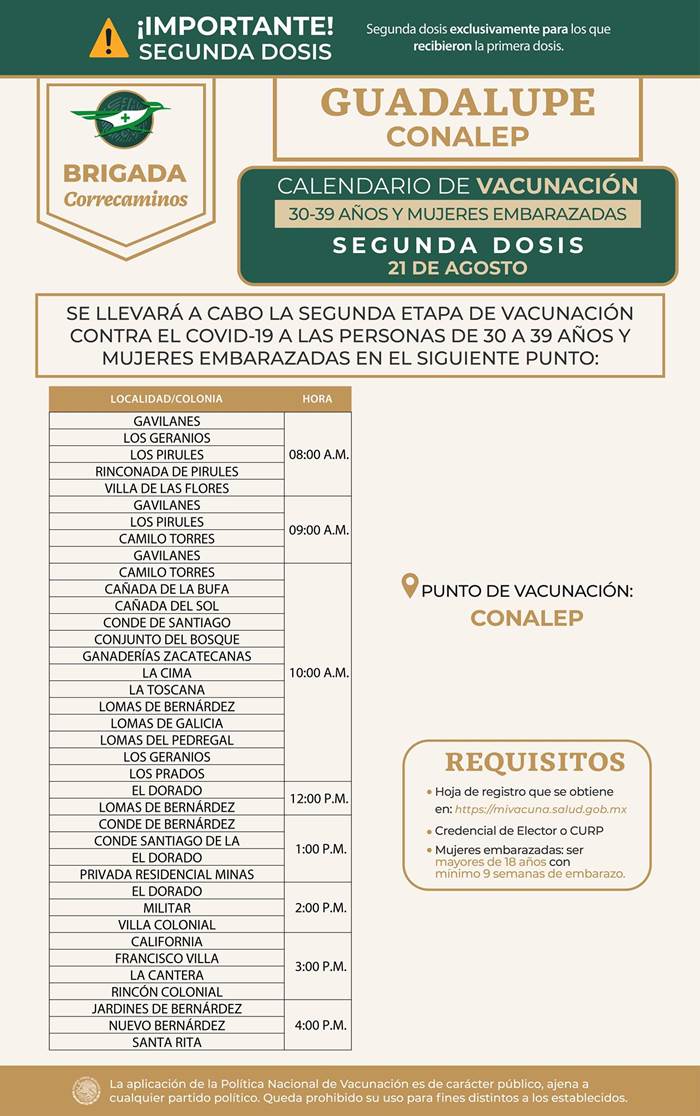 guadalupe 1