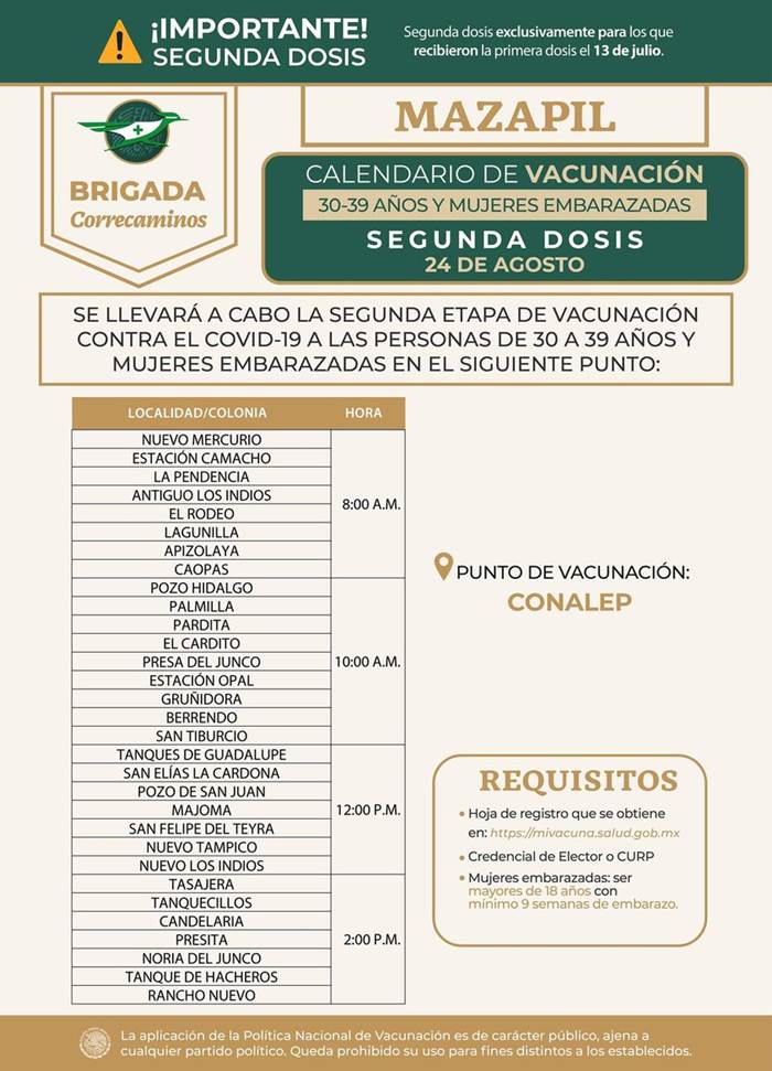 mazapil