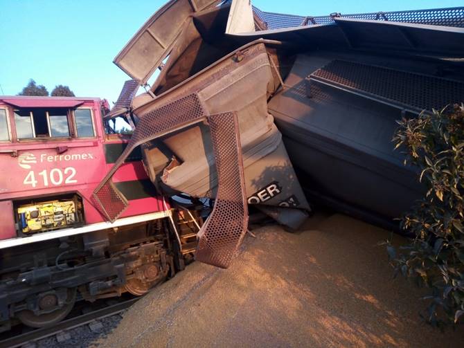 tren 6