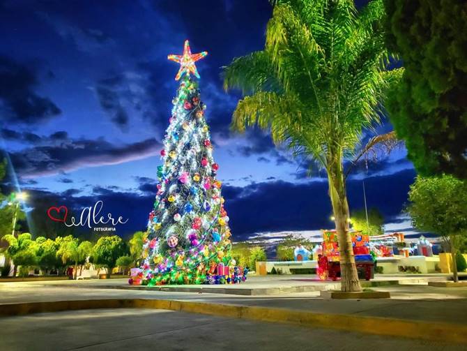 queman arbol 2