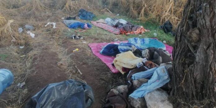 campamento-1-744