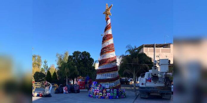 arbol-rio-grande-1-a17
