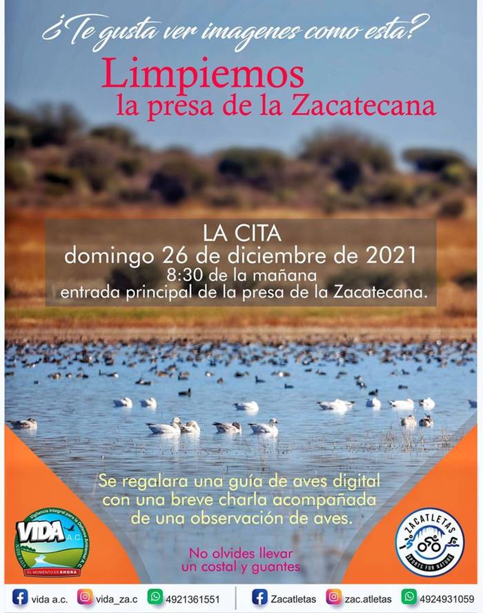 zacatecana 1