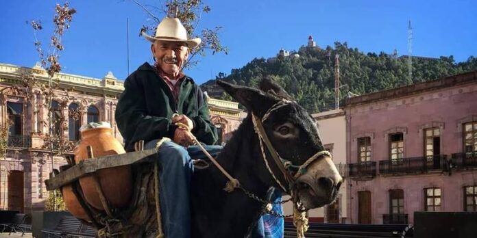 don-chuy-2-80e